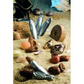 Čokoládové sardinky v konzervě