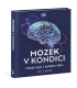 Mozek v kondici