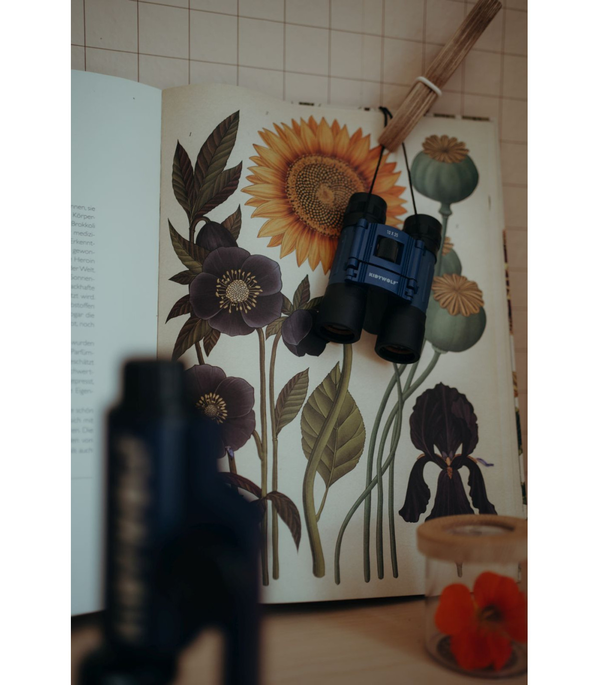 Detský ďalekohľad Kidywolf