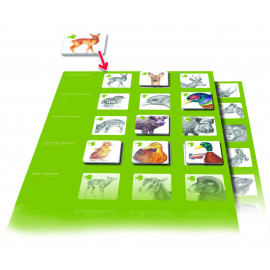 Pexetrio - Zvířecí rodinky